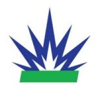 Cattalyst Collective Mark